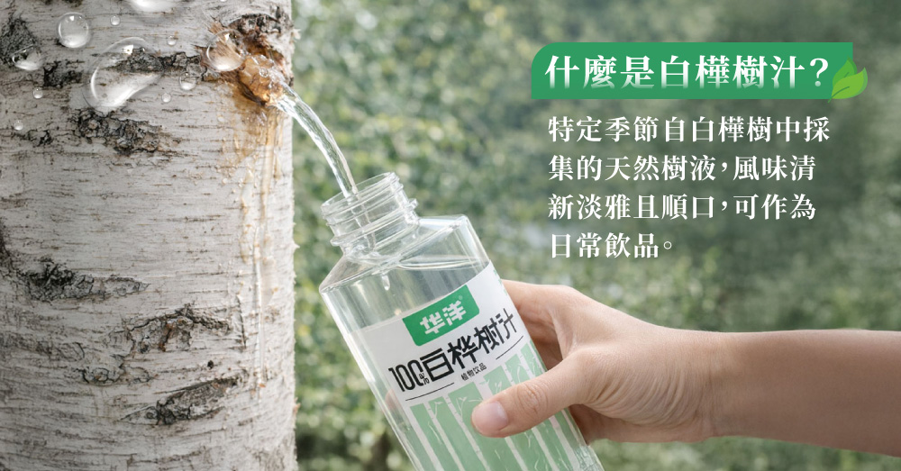 100%白樺樹汁植物飲品