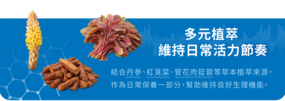 【爾立明】猴頭菇草本複方膠囊